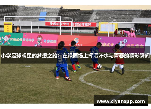 小学足球明星的梦想之路：在绿茵场上挥洒汗水与青春的精彩瞬间