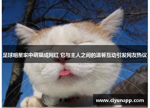 足球明星家中萌猫成网红 它与主人之间的温馨互动引发网友热议