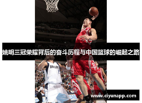 姚明三冠荣耀背后的奋斗历程与中国篮球的崛起之路