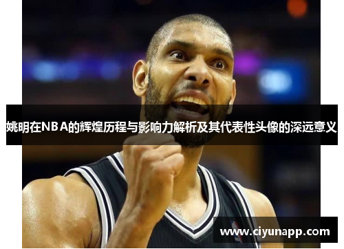 姚明在NBA的辉煌历程与影响力解析及其代表性头像的深远意义